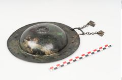 Foto von Bronzebreitrandschale (NHMW-PRAE-025247)